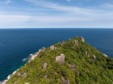 Açık bir günde okyanusa bakan yemyeşil kayalık yamaçlar. Koh Tao, Tayland.