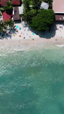 Güneş banyosu yapan, turkuaz suları olan ve gölge sağlayan palmiye ağaçları olan kumlu bir sahil manzarası. Crystal Bay Sahili. Ko Samui, Tayland.