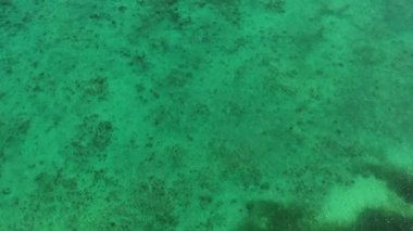 Mercan resifli turkuaz okyanus suyu. Temiz suyla deniz manzarası. Bantayan, Cebu, Filipinler,