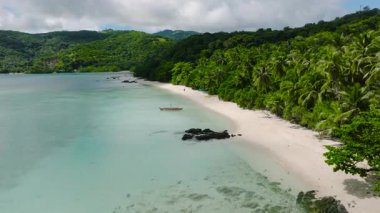 Sahil boyunca kristal berrak su ve palmiye ağaçları olan tropikal bir sahil. Tiamban, Nonok, Romblon, Filipinler.