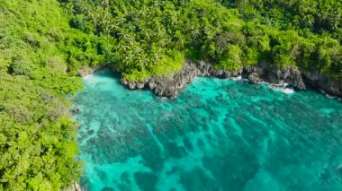 Tropikal bir adada kayalık uçurumlar ve yemyeşil yeşilliklerle çevrili canlı turkuaz bir su içeren huzurlu bir koy. Carabao Adası, Romblon, Filipinler.