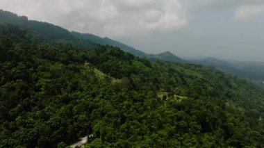Tepe tarafı yeşil ormanlarla kaplı ve bulutlu bir gökyüzünün altında dağınık ağaçlarla kaplı. Ko Samui, Tayland.
