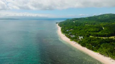 Parlak palmiye ağaçları ve güneşli bir gökyüzünün altında berrak turkuaz sularla dolu sakin bir sahil manzarası. Lanas Plajı, San Jose, Romblon, Filipinler.