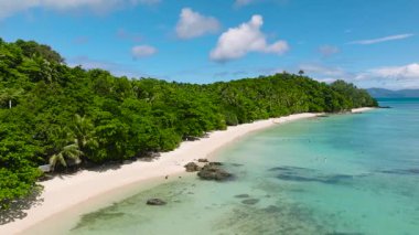 Tropikal bitki örtüsüyle çevrili tenha bir sahil ve turkuaz suları var. Tiamban, Romblon, Filipinler.