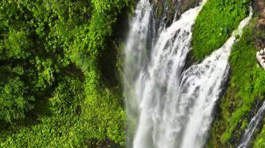 Lasang Şelaleleri hızlı akarsu ve yeşillik bitkileriyle. Bukidnon, Filipinler.