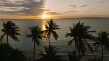 Suyun ve siluetli palmiye ağaçlarının üzerinde parlayan yansımalarla okyanusun üzerinde gün batımı. Santa Fe, Tablo, Romblon, Filipinler.