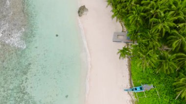 Palmiye ağaçlarıyla çevrili kumlu sahildeki okyanus dalgalarının havadan görünüşü. San Jose, Romblon, Filipinler.