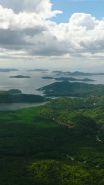 Tropikal adada yeşil bitkilerle birlikte Mangrove ormanı. Busuanga, Palawan. Filipinler. Dikey görünüm.