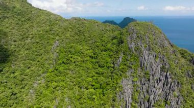 Ada, her tarafında yeşil bitkilerin büyüdüğü uzun kireç taşlarıyla kaplı. Cadlao Adası. El Nido. Palawan, Filipinler.