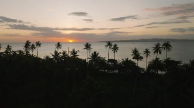 Gün batımında sakin bir sahil manzarası, siluetli palmiyeler ve sakin deniz dalgaları. Santa Fe, Tablo, Romblon, Filipinler.