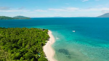Bereketli palmiye ağaçları ve turkuaz sularla kaplı el değmemiş beyaz kumsal. Logbon, Romblon, Filipinler.