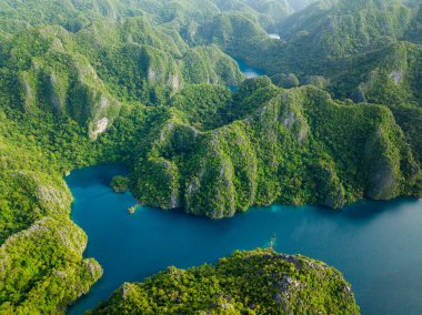 Temiz suları olan manzaralı dağ gölü. Coron, Palawan 'daki Kayangan Gölü. Filipinler.