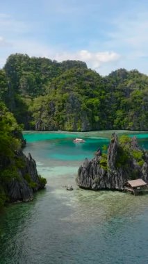 Tropikal adada muhteşem kireçtaşı oluşumu. Coron, Palawan 'da gizli bir göl. Filipinler. Dikey görünüm.