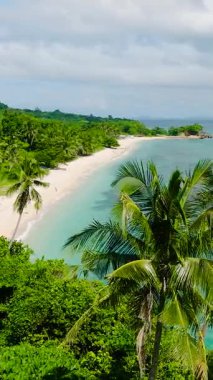 Deniz suyunu dalgalarla turkuaz hale getirmek için hindistan cevizi ağaçlarının üzerinden uçuyorlar. San Jose, Romblon 'daki kumsal. Filipinler. Dikey görünüm.