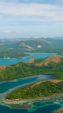 Turkuaz su ve mercan resifleriyle adanın insansız hava aracı görüntüsü. Lajala, Coron. Palawan 'da. Filipinler. Dikey görünüm.