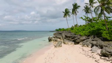 Canlı hindistan cevizi ağaçlarıyla turkuaz sularla harmanlanmış el değmemiş bir sahil. Carabao Adası, Romblon, Filipinler.