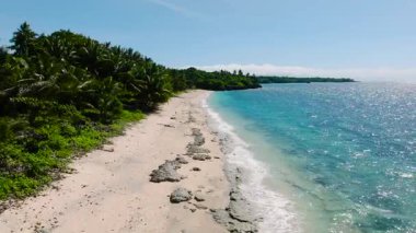 Parlak gökyüzünün altında hindistan cevizi palmiyeleri olan kumlu bir sahilde kristal berrak sular. San Jose, Romblon, Filipinler.