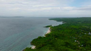 Beyaz kumları ve yemyeşil sularıyla çevrili sahil şeridi. Carabao Adası, Romblon, Filipinler.