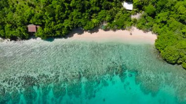 Temiz suyu ve yoğun yeşil çevresi olan sahil şeridi. Talipasak Plajı, Romblon, Filipinler.