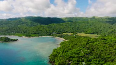 Parlak güneş ışığı altında canlı yeşillikler ve berrak sularla çevrili tropikal bir koy. Romblon, Filipinler.