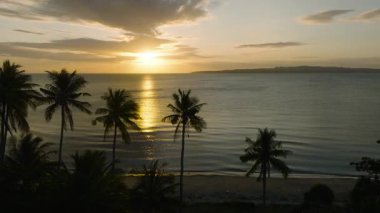 Sakin okyanus sularının üzerinde, siluetli palmiye ağaçları ve kumlu bir plajla altın bir günbatımı. Santa Fe, Tablo, Romblon, Filipinler.