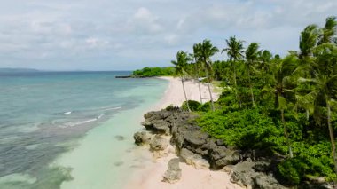 Beyaz kumları, palmiye ağaçları ve turkuaz suları olan kıyı şeridi. Carabao Adası, Romblon, Filipinler.