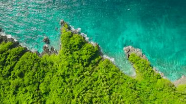 Bereketli yeşillik ormanının üst manzarası turkuaz sularla kayalık kıyı şeridine çıktı. San Jose, Romblon, Filipinler.
