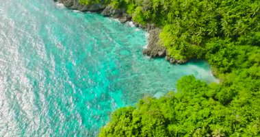 Kıyı şeridi üzerinde turkuaz deniz ve dalgalarla güneş yansıması. Carabao Adası, Romblon. Filipinler. 5 bin..