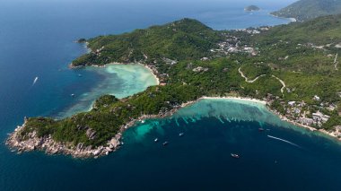 Açık turkuaz deniz ve yeşil bitki örtüsü olan canlı bir tropikal kıyı şeridinin havadan görünüşü. Köpekbalığı Körfezi. Koh Tao, Tayland.