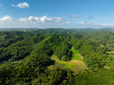 Tarım alanları ve tropikal adadaki yeşil orman. Santa Fe, Tablas, Romblon. Filipinler.