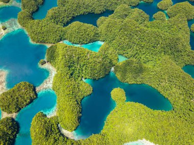 Göl havuzu şeklinde şeffaf turkuaz su. Mercan resifli deniz manzarası. Bucas Grande Adası. Mindanao, Filipinler.