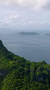 Matinloc Adası 'ndaki dağ ormanı. El Nido, Palawan. Filipinler. Dikey görünüm.