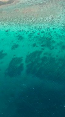 Deniz tabanında turkuaz deniz suyuyla tropikal mercanlar. Santa Fe, Tablas, Romblon. Filipinler. Dikey görünüm.