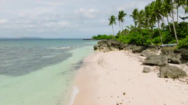 Saf bir kıyı şeridi yeşil ağaçlar ve uzun palmiye ağaçları ile kaplıdır. Carabao Adası, Romblon, Filipinler.