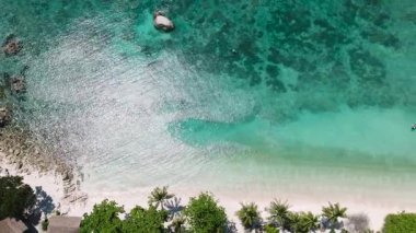 Palmiye ağaçları ve beyaz kumlarla çevrili kristal berrak turkuaz suyu olan kayalık bir kıyı şeridi. Koh Tao, Tayland.