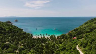 Turkuaz su, bereketli tropik yeşillik ve palmiye ağaçlarıyla çevrili kumlu bir plajla karşılaşır. Ao Leuk, Koh Tao, Tayland.
