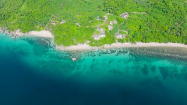 Kayalık kıyı şeridi ve yemyeşil yemyeşil berrak turkuaz sularda canlı deniz yaşamı sergileniyor. San Jose, Romblon. Filipinler.