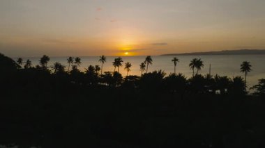 Sakin suların üzerinde, uzun palmiye siluetleriyle çerçevelenmiş huzurlu bir tropikal gün batımı. Santa Fe, Tablo, Romblon, Filipinler.