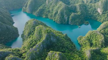 Yoğun yeşillikler kayalık araziyi kaplayarak tropikal bir cennet oluşturuyor. Kayangan Gölü. Coron, Palawan, Filipinler.