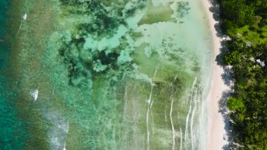 Temiz turkuaz sular yavaşça kumlu sahile dokunur. Güneş ışığı berrak suların üzerinde. El Nido, Palawan, Filipinler.