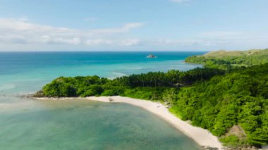 Turkuaz suların, beyaz kumlu plajların ve açık gökyüzünün altında bir sıra yüksek palmiye ağaçlarının yer aldığı manzaralı bir kıyı şeridi. Tablolar Adası, Romblon, Filipinler.