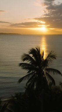 Hindistan cevizi ağaçlarının günbatımı arkaplanlı manzarası. Santa Fe, Tablas, Romblon. Filipinler. Dikey görünüm.