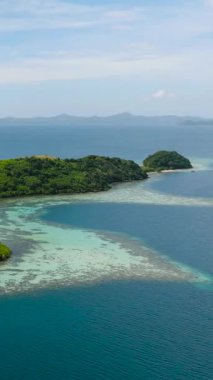 Turkuaz deniz suyu olan mercanlar. Yeşil orman ve ormanlı Dimanglet Adası. Coron, Palawan. Filipinler. Dikey görünüm.