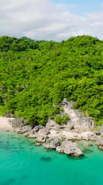 Beyaz kumlu sahil şeridi ve yeşil deniz suyu ve mercanlı kayalar. Jose, Romblon. Filipinler. Dikey görünüm.