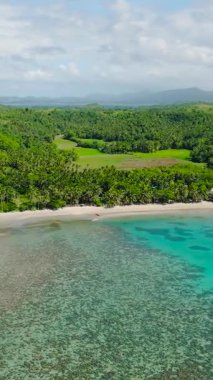 Santa Fe 'deki mercan kayalıkları ve turkuaz deniz suyu. Tablas 'ta plaj, Romblon. Filipinler. Dikey görünüm.