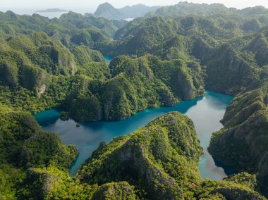 Coron 'daki berrak tatlı su gölü. Kayangan Gölü. Palawan, Filipinler.