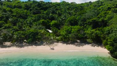 Bereketli yeşillik ve berrak sularla çevrili tenha tropikal plajlar. Talipasak Plajı, Romblon, Filipinler.