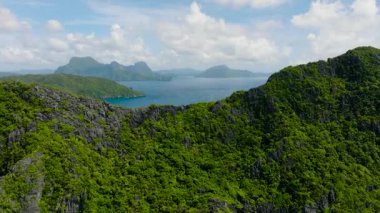 Matinloc Adası 'ndaki kireçtaşı kayalarının üzerindeki yeşil bitkiler ve ağaçlar. El Nido, Palawan. Filipinler.