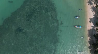 Tropikal bir sahil şeridinde, turkuaz suları ve bereketli çevresi olan küçük tekneler demirledi. Lipa Noi. Ko Samui, Tayland.