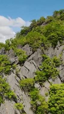 Coron 'da muhteşem kireçtaşı kayaları var. Mavi gökyüzü ve bulutlar. Palawan 'da. Filipinler. Dikey görünüm.